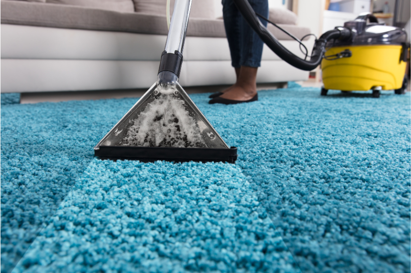 Professional carpet cleaning in progress with a vacuum cleaner on a blue carpet.