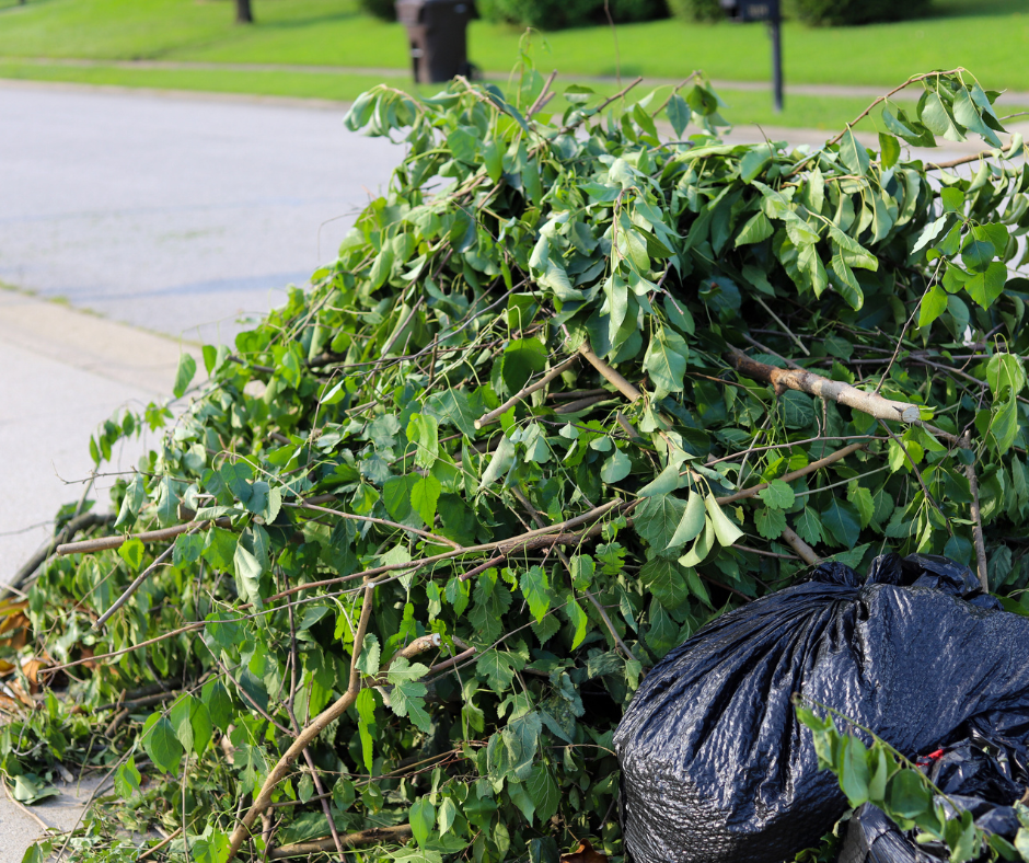 Pile of garden waste and branches ready for removal, showcasing garden waste removal services